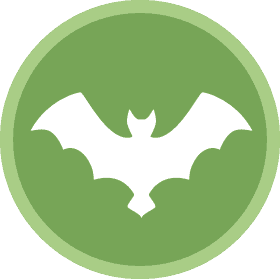 traitement anti-Chauve-souris en Martinique
