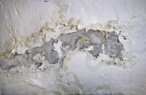 dégat humidité et salpêtre mur de maison en Martinique